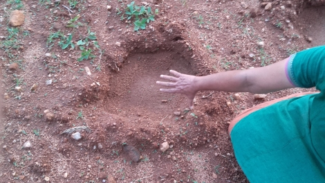 Yanai footprint measured